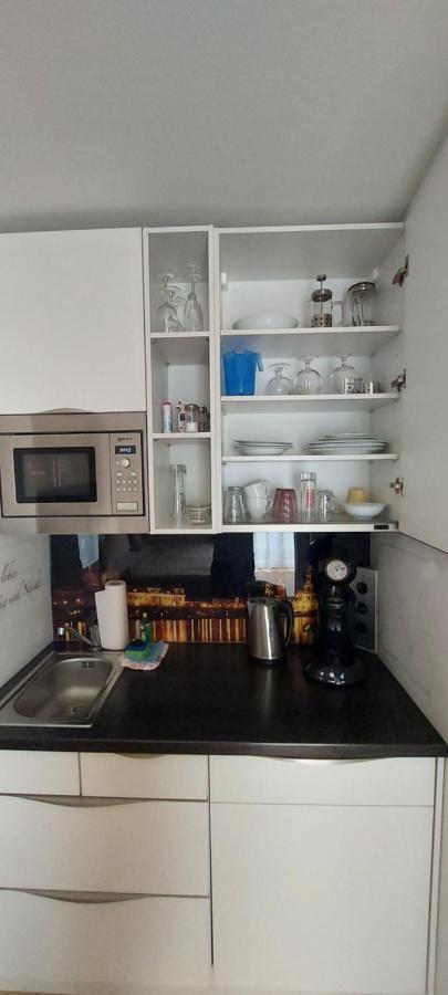 דרזדן Appartements Am Schillergarten מראה חיצוני תמונה